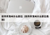 软件开发叫什么职位（软件开发叫什么职位类别）