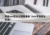 专业seo优化公司哪里有（seo专业优化方法）