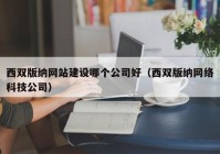 西双版纳网站建设哪个公司好（西双版纳网络科技公司）