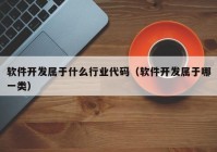 软件开发属于什么行业代码（软件开发属于哪一类）