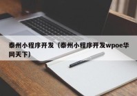 泰州小程序开发（泰州小程序开发wpoe华网天下）