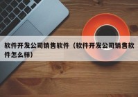 软件开发公司销售软件（软件开发公司销售软件怎么样）