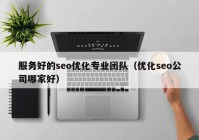 服务好的seo优化专业团队（优化seo公司哪家好）