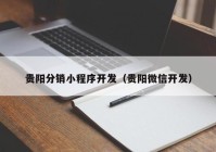 贵阳分销小程序开发（贵阳微信开发）