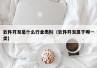 软件开发是什么行业类别（软件开发属于哪一类）