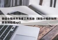 微信小程序开发者工具抓包（微信小程序如何抓包到后端api）