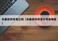 长春软件开发公司（长春软件开发公司有哪些）