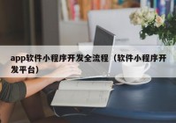 app软件小程序开发全流程（软件小程序开发平台）