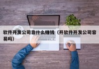 软件开发公司靠什么赚钱（开软件开发公司容易吗）